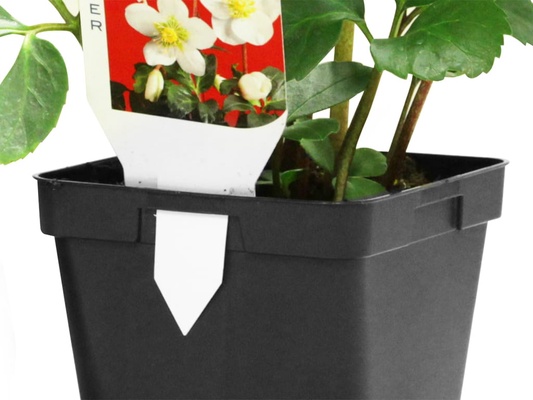 Maceta Semillero Cuadrada Teku Mqe 3l 16x16x16cm